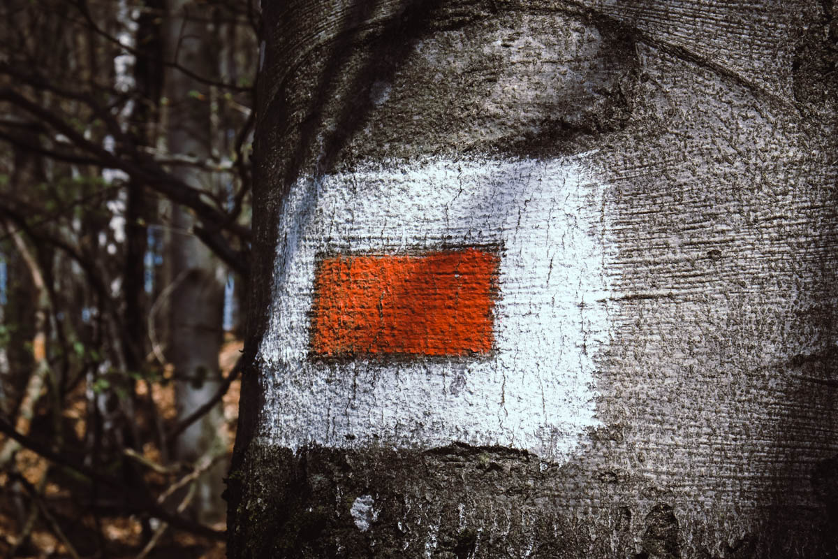 Zukunftsorientierte Strategien f&uuml;r Werbeagenturen in Zeiten des Wandels