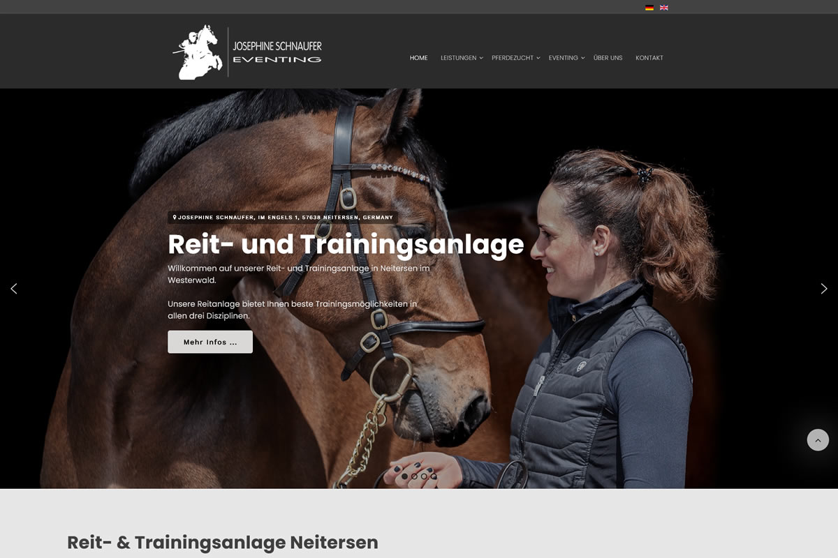 Webdesign: Website für Pferdebetriebe erstellen